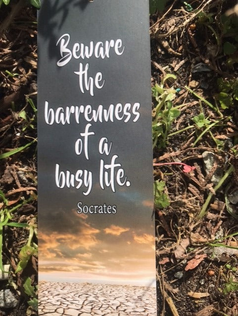 Bookmark 8