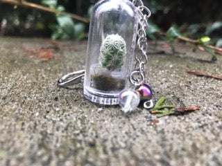 Mini Cactus Buddy