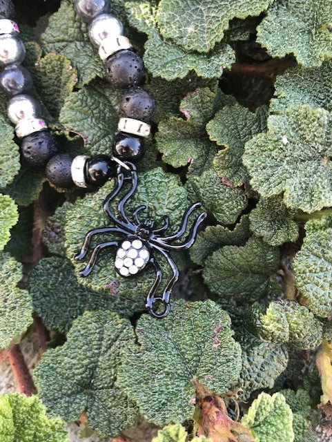 Spider on the Rocks